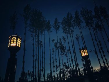 The real meaning of enlightment is to gaze with undimmed eyes on all darkeness.&hellip;