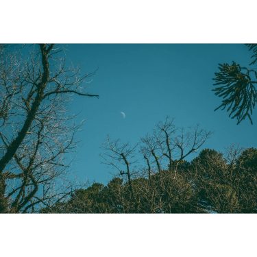 Under blue moon I saw you So soon you’ll take me Up in your…