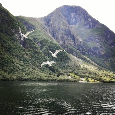 Fjords of Norway never stop surprising me. All my love to @visitnorway . .&hellip;