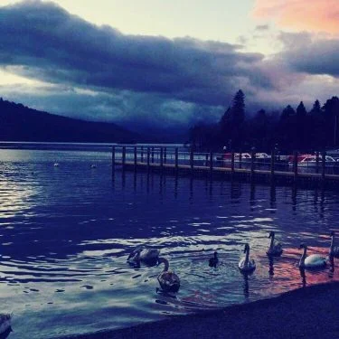 Evening views in the Lake District . . . #bownesslake #thelakedistrict #bowness #swans #holiday…