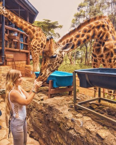 Giraffe Centre, Nairobi We made it: out first time together in Africa! Today we…