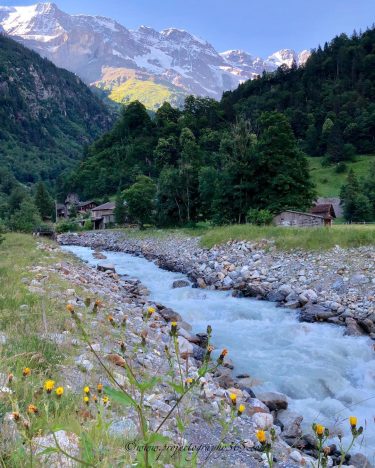 Day 275: Evenings like this right outside our chalet The sound of water, mountain&hellip;