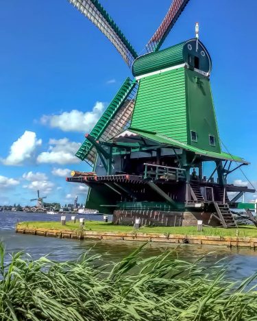 When the winds of change blow, some people build And the others build windmills.…