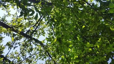 Turn the sound up and feel the peaceful bliss. It truly signifies a lazy…