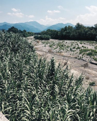 C’era un dingo che correva ???? #captivatedbyearth #momentslikethese #thatsdarling #traveldeeper #iamatraveler #tlpicks #iamtb #lifewelltraveled&hellip;