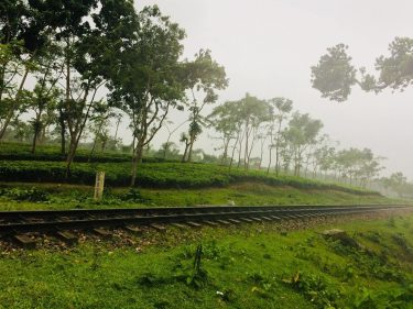 The natural view of Sylhet, Bangladesh #beautifulplaces #landscapstyles #travelphotography #travelblogger #sylhet  #voyage #folkmagazine #chicago&hellip;