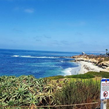Man this place was beautiful! #lajolla #lajollacove #california #sandiego #californian #travelphotography #travelblog #travelblogger #beach…