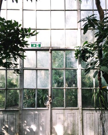 green oasis