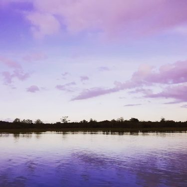Le repère des oiseaux, des caïmans et des anacondas ???? #trip #travelling #photography #france…