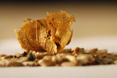 Sem filtro, #Fotos #imagens #memorias #reliquias #sociedade #eurotrip #viajandoporai #rome #italy #coliseu #bnesimppl #eurotrip&hellip;