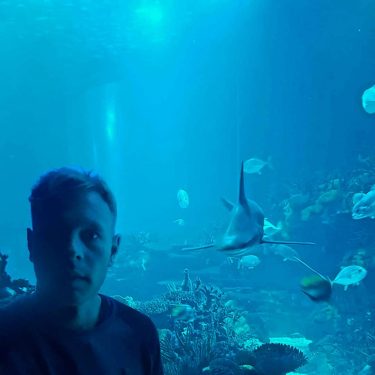 #ozeaneum #ozeanariumlisboa #fish #shark #rochen #skate #urlaub #holiday #sun #sunny #city #happy #travel #reisen…
