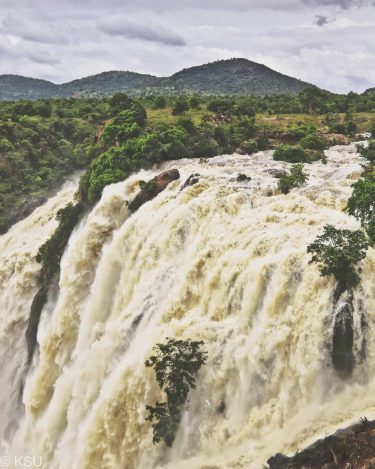 Gaganachukki at her glorious best ! Take sometime and go visit #ksutravelstories #karnatakatourism #indiatravel&hellip;