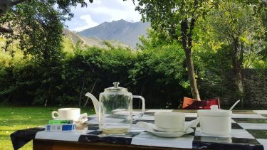 Sipping on some freshly brewed rose tea made from 2 different varieties of roses&hellip;