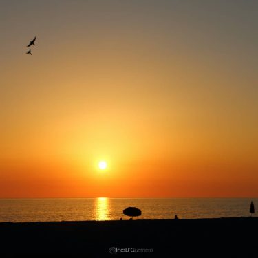Fly in the red sky . . . #volgoitalia #vivoitalia #vivocalabria #loves_italia #italia365 #visititalia…