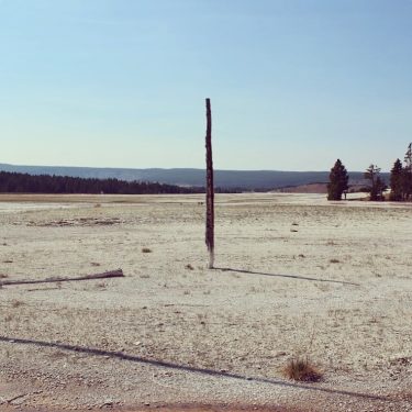 Yellowstone National Park. . . . . : Canon 70D . . . .…