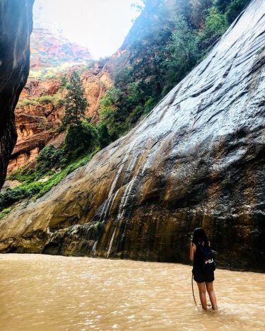 The narrows #zionnationalpark #zion #thenarrows #utah #usa #usaontheroad #girlstour #americandays #hike #hikingadventures #adventure #travel…