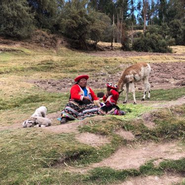 Lama, alpaca e • • • • • #inviaggio #wanderlust #traveladdict #mondoaeroporto #traveling #giumatte…