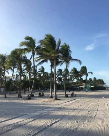 A cosa serve studiare quando puoi aprirti un chiosco a Miami? • #miami #beach…