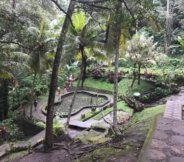 A sneak peak into wonderful day in Bali #goagajah #balitourism #baliindonesia #balitourist #bali #wanderlusting…