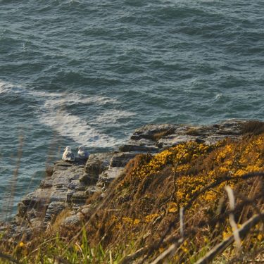 The beautiful Cornish coast. #cornwall #cornishcoast #lovegreatbritain #visitengland #roadtripwithfriends #britishbeaches #europe_perfection #travel_drops #stayandwander #TourThePlanet&hellip;