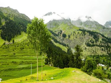 Beauty of Naltar Valley, Gilgit, Pakistan