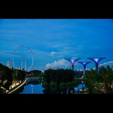 Singapore, best city ever ! . . . . . #discoverearth #visualofmylife #liveauthentic #signapore…