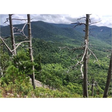 The key question to keep asking is, ‘Are you spending your time on the&hellip;