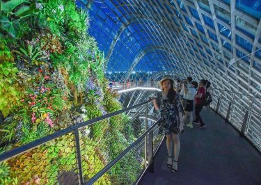 At night, the blue sky made the garden more incredible #singapore #trip #travel #travelblogger…