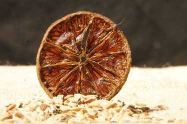 Olha essa foto !!! . . . . . . #Fotos #imagens #memorias #reliquias&hellip;