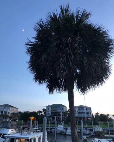 Just had the best vacation with my best friend After dinner one night I…