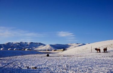 Weak up in the morning and you see snow in the desert! . .…