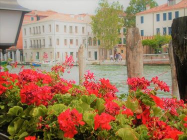 The Grand Canal . . . . . #venice #grandcanal #grandcanalvenice #venicegram #venicephoto #venicephotography…