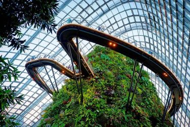 Cloud Forest, Gardens by the Bay, Singapore #travelto #sourcedadventures #mustdotravels #travelingsnaps #theglobewanderer #livelovetheworld #travel_awesome…