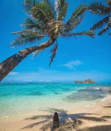 The amazing beauty of Hawaii #beautifulplaces #landscapstyles #travelphotography #travelblogger #voyage #folkmagazine #chicago #exklusiveshot #visualsofearth&hellip;