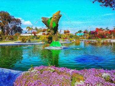 Jardinería profesional. #demochilazo #vive_mexico #mexico_maravilloso #lovesmexico #mexicodesconocido #pasionxmexico #instamexicanos #mexicoamazing #travel #travelblogger #travelpics #beatifuldestinations…