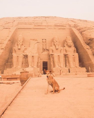 ABU SIMBEL, ASWAN, EGYPT ???????? Templo de Ramses II. Con infiltrado incluido. #traveldiary #arroundtheworld&hellip;