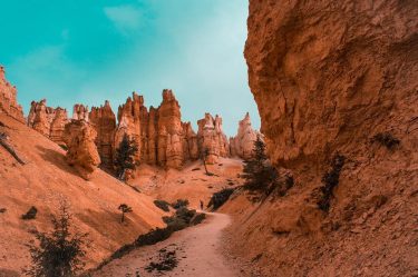 Always take the scenic route • • • • • #travelbucketlist #backpackerlife #travelbloggrs #travelrepost&hellip;