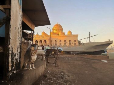 MERCADO DE PESCADORES EN HURGHADA, EGIPTO ???????? Detrás de todas las fotos de templos…
