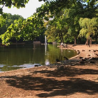 Fab day exploring Cologne, we had a little sit down in this beautiful park.…