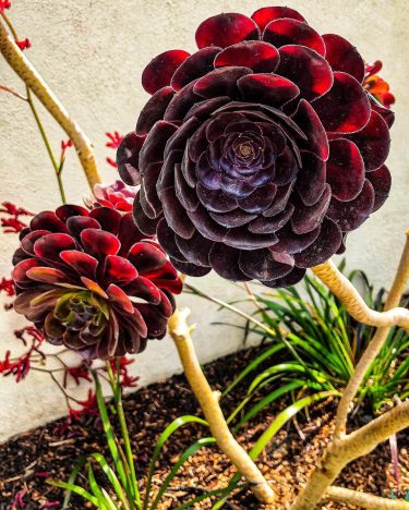 My 101 pic thanks everyone for all the support … please let me know&hellip;