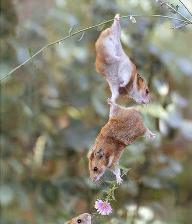 A true friendship is always ready to help any time! #landscapstyles #exklusiveshot #visualsofearth #beautifuldestinations…