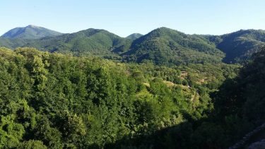 Natura #backpackerstory #bestcommunitytravel #adventureinspired #makeheritage #lovetheworld #iamatraveler #discoverglobe #inspravel #neverstopexploring #happynow #bnesimppl #femmetravel #travelgirl&hellip;