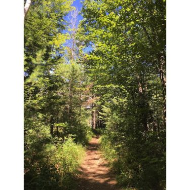 Passer du temps dans les bois!