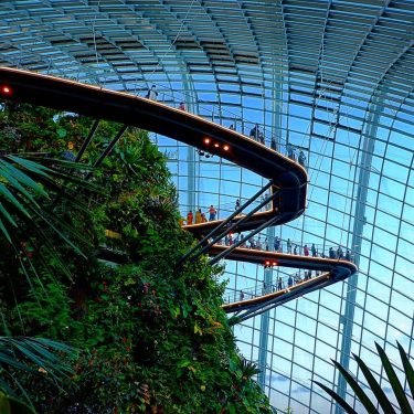 Cloud Forest, Gardens by the Bay #travelto #sourcedadventures #mustdotravels #travelingsnaps #theglobewanderer #livelovetheworld #travel_awesome #straythecourse…