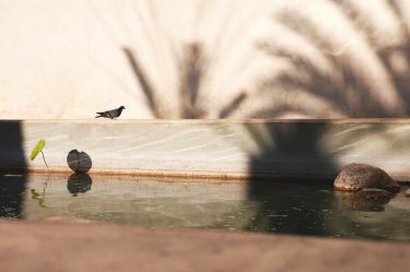 #love #travel #trip #vacation #summer #marrakech #kasbah #kasbahlemirage #marokko #bohostyle #bohochic #bohointeriors #interieur #interiordesign…