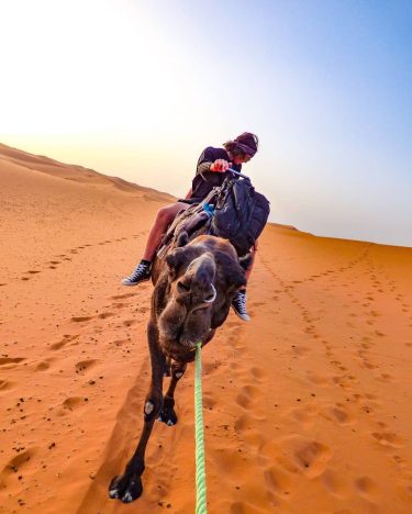 Riding in style through the Sahara desert