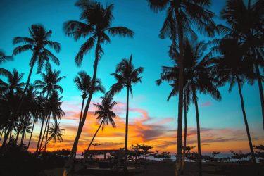 It’s almost impossible to watch sunset without dreaming. #sunset #goldenhour #tropics #shadesofgold #iamtb #iamatraveler…