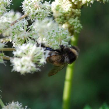 #꽃 #자연 #봄 #may #flowers #travel #nature #colorflowers #color #nikon #instadaily #instalike #photooftheday #amazing&hellip;