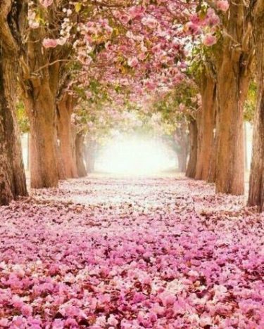 Nice morning are like hello from God #landscapstyles #exklusiveshot #visualsofearth #beautifuldestinations #ilovetravel #amazing #hermanosviajeros&hellip;