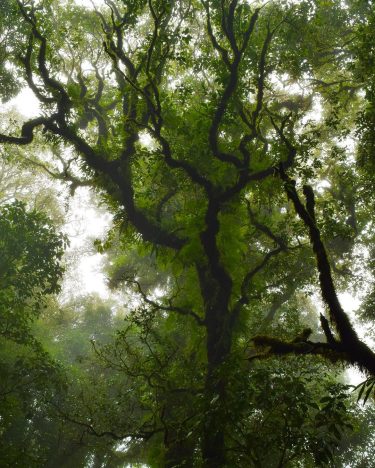 Today we visited the highest point in Thailand. It was nice to get some&hellip;